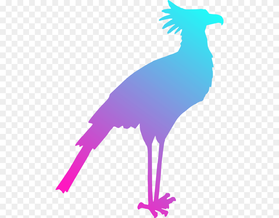 Bird Gulls Silhouette Drawing Art, Person, Animal, Jay Free Transparent Png