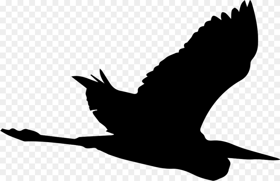 Bird Heron Flying Shape Comments Garza Silueta, Silhouette, Animal, Blackbird, Fish Free Png