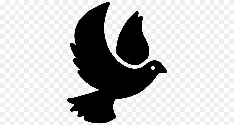 Bird Holy Spirit Peace Dove Religious Bird Religious Spirit, Silhouette, Animal, Pigeon Free Png Download