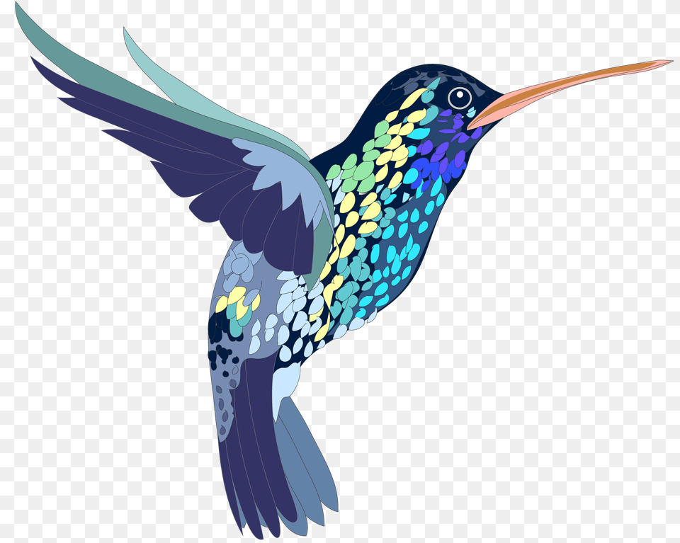 Bird Hummingbird Colorful Humming Bird, Animal Png