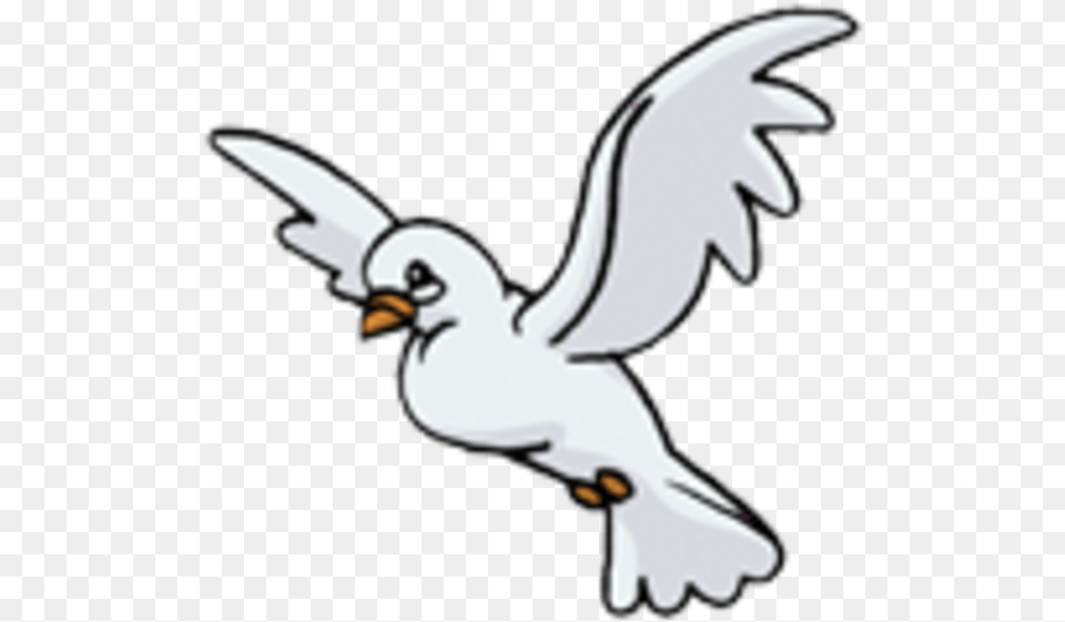 Bird Icon, Animal, Flying, Baby, Person Free Transparent Png