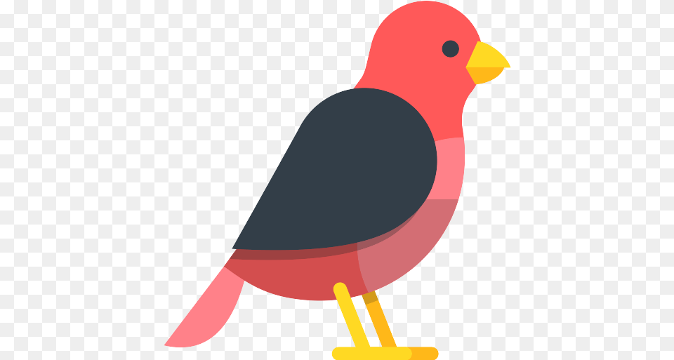 Bird Icon Bird Flat Icon, Animal, Beak, Finch, Fish Png Image