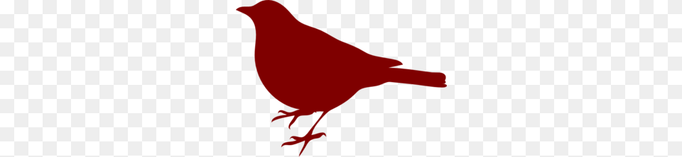 Bird Icon Cliparts, Animal, Person Png Image