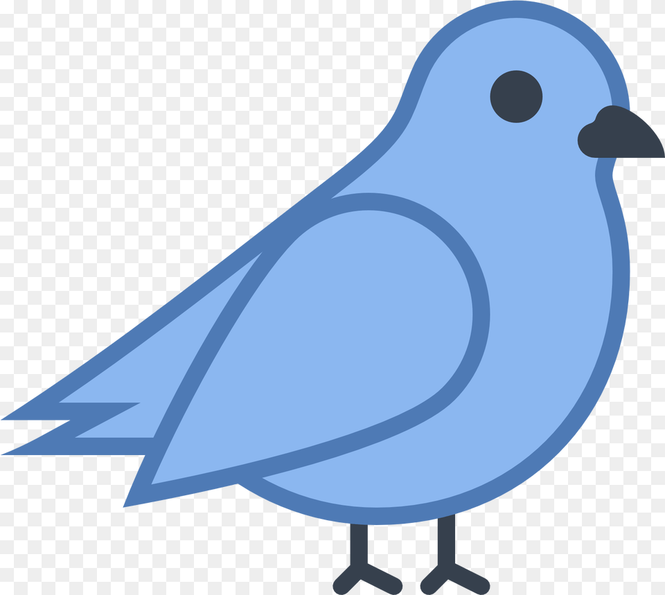 Bird Icon Free Download And Vector Bird Icon, Animal Png