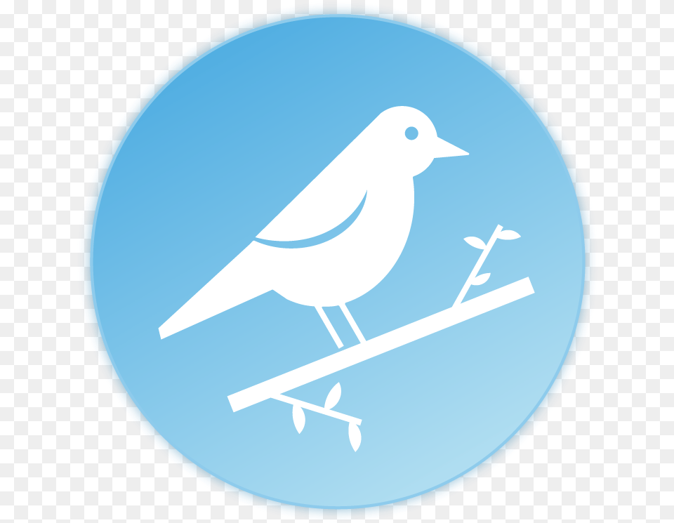 Bird Icon Old World Flycatchers, Animal, Disk, Jay, Canary Free Png