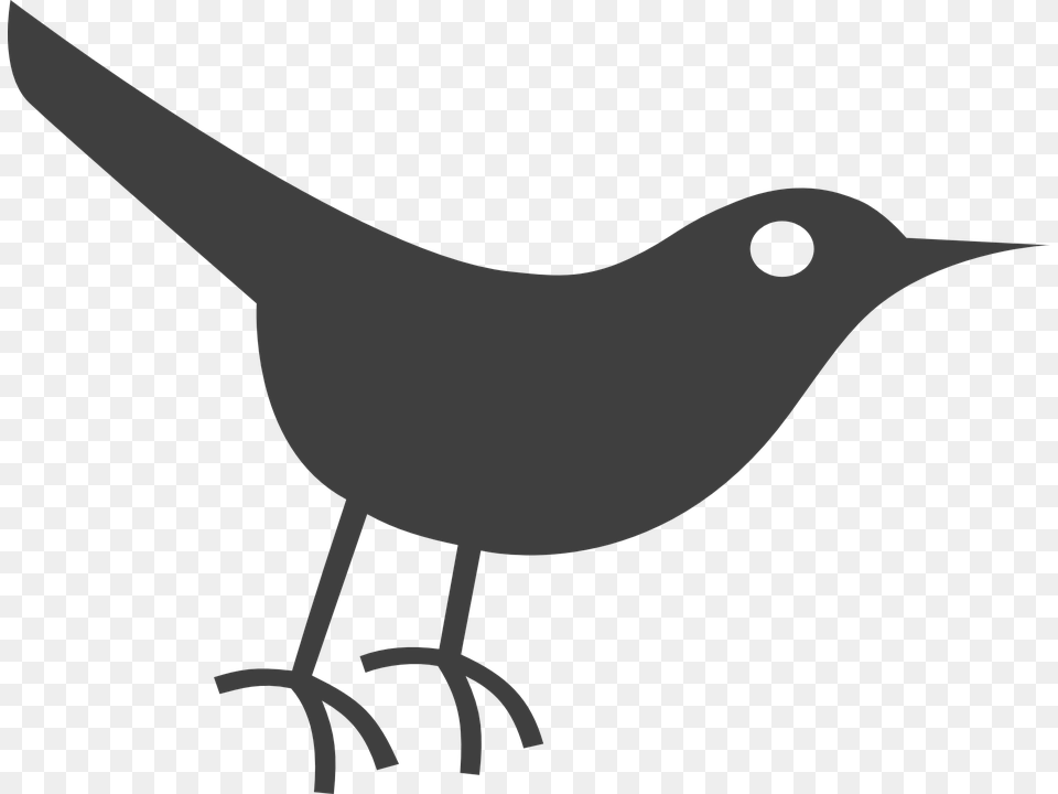 Bird Icon Transparent, Animal, Blackbird, Wren, Fish Free Png Download
