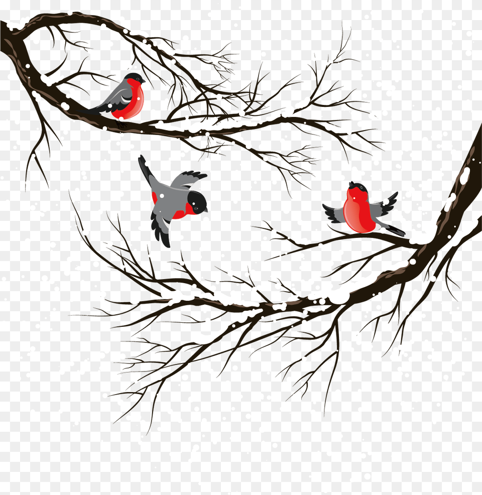 Bird Illustration Trees Transprent Winter Clipart Background, Art, Animal, Finch, Person Png