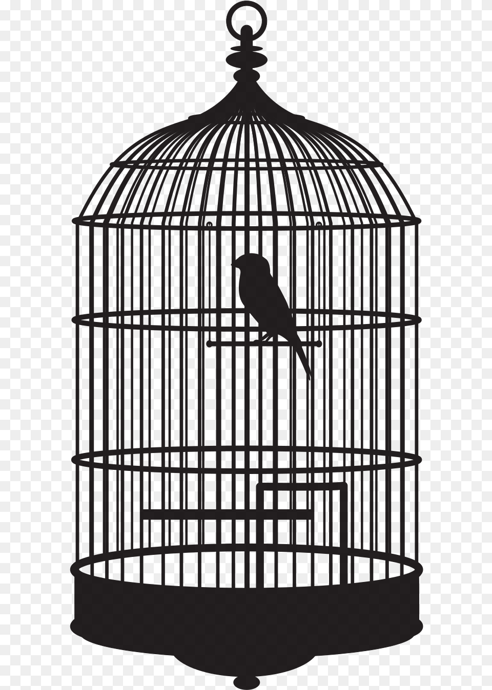 Bird In A Cage Bird In Cage Bird In Cage Gif Png Image