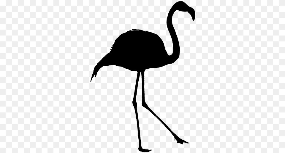 Bird In Black Outline Free Png