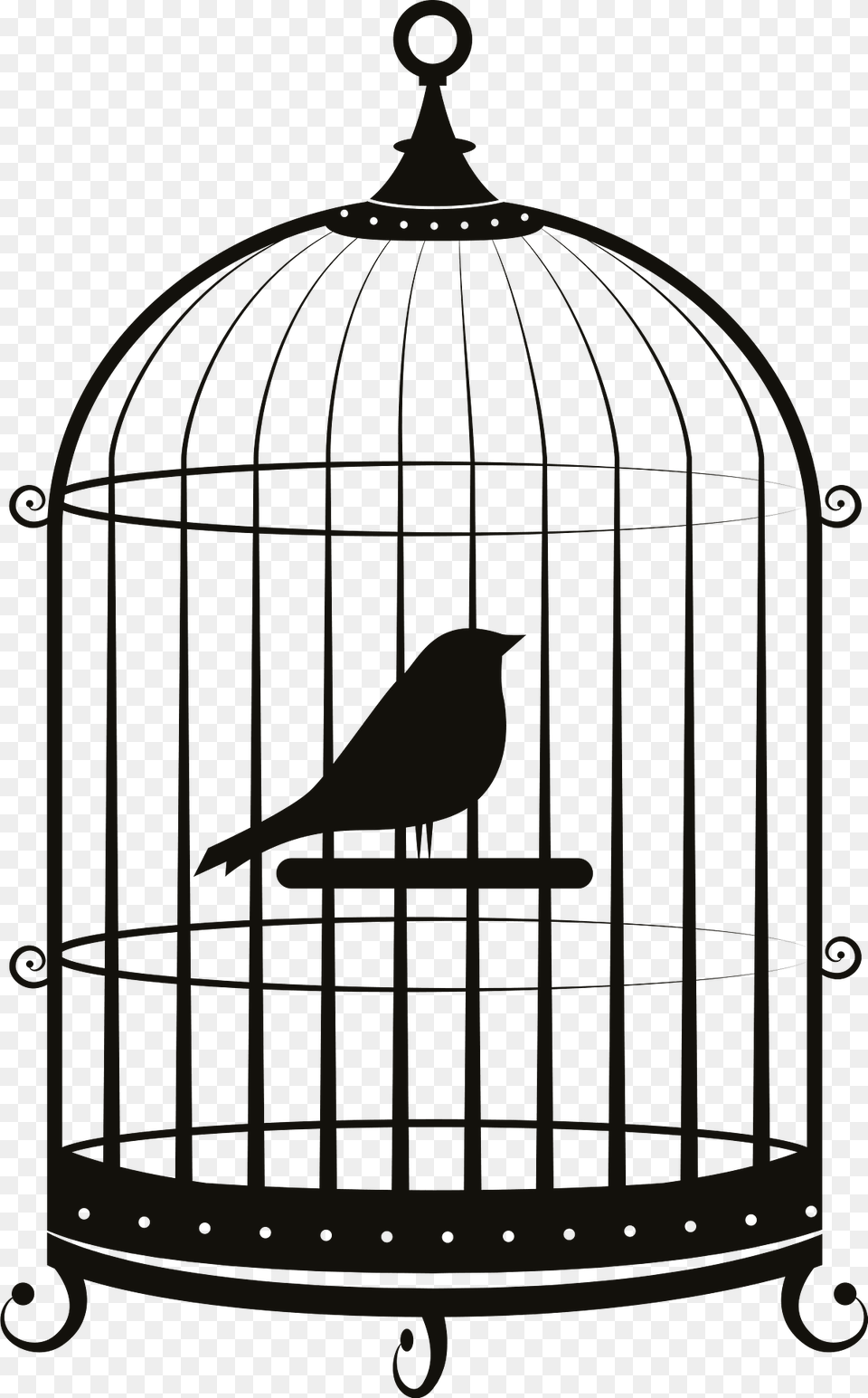 Bird In Cage Clipart, Gate, Animal, Finch Png