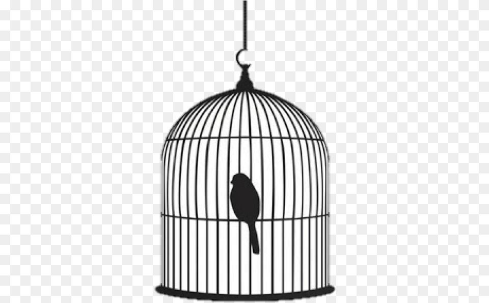 Bird In Cage Silhouette, Animal Free Png Download