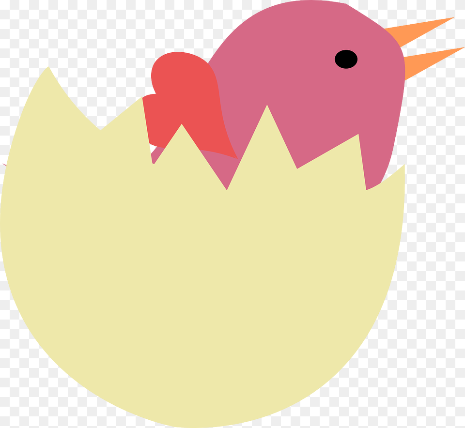 Bird In Egg Clipart Free Png
