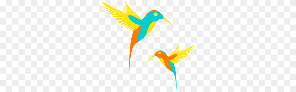 Bird In Flight Silhouette Clip Art, Animal, Beak, Hummingbird Free Transparent Png