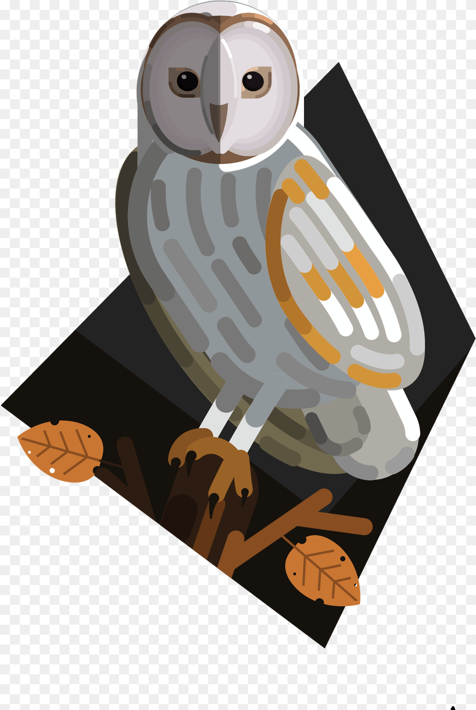 Bird Konfest Illustration, Animal, Owl Png