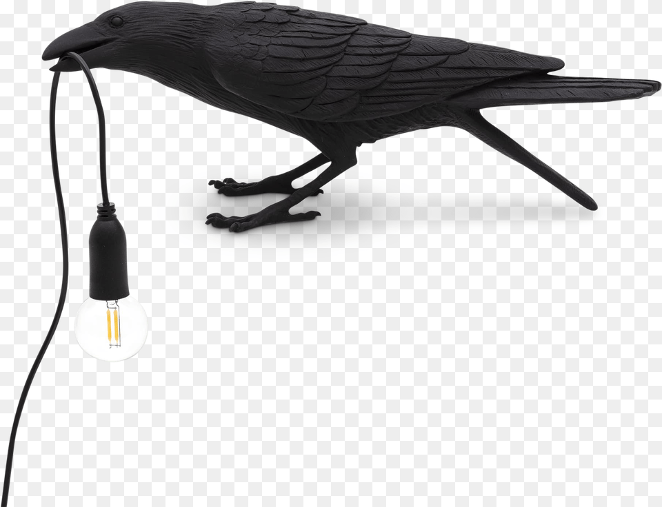 Bird Lamp Playing Black Seletti Bird Lamp, Light, Animal Png Image