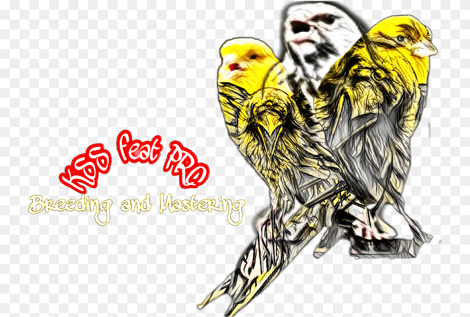 Bird Logo Team Canary Finch Blackthroat Budgie, Animal, Mammal, Pet, Dog Free Png Download