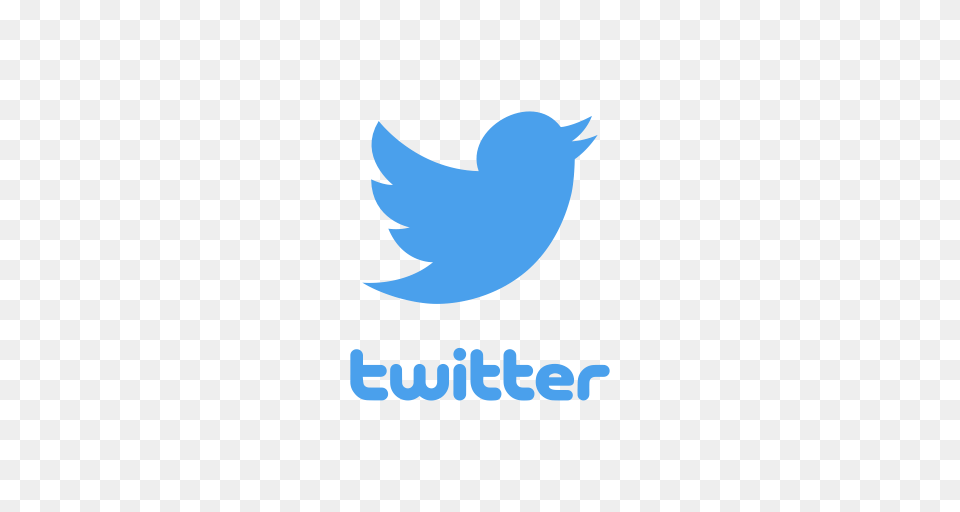 Bird Logo Twitter Twitter Logo Icon Png