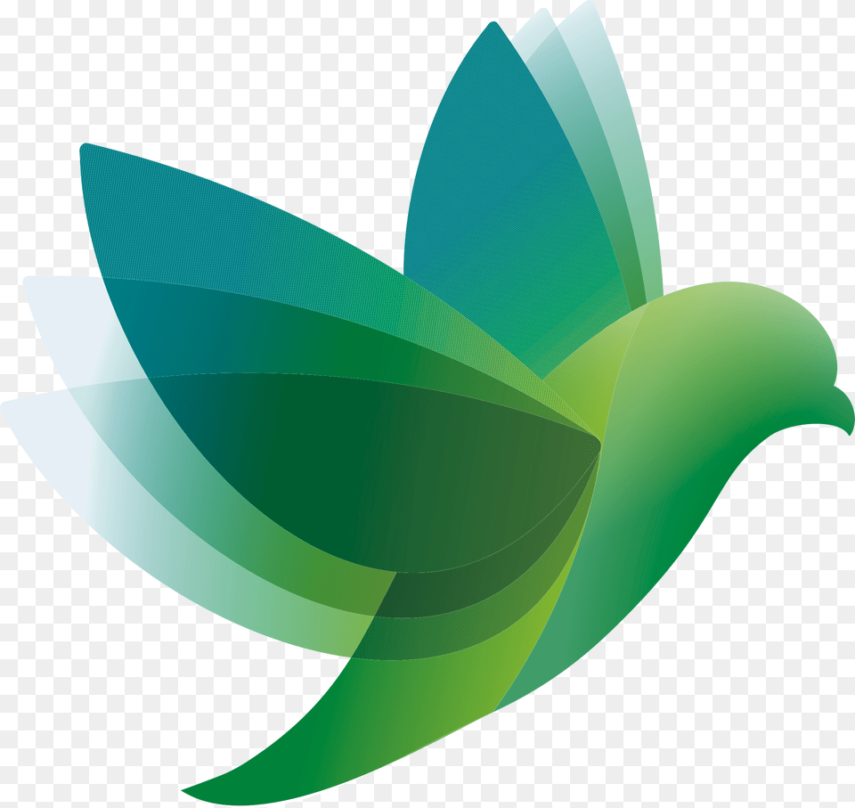 Bird Logo Vector Vector Graphics, Green, Leaf, Plant, Art Free Png