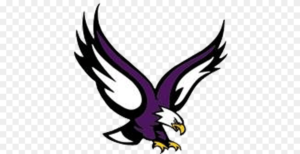 Bird Logos Colour Schemes Seahawks Eagles Color Eau Eagle Boston College Mascot, Animal, Flying, Beak, Vulture Png Image