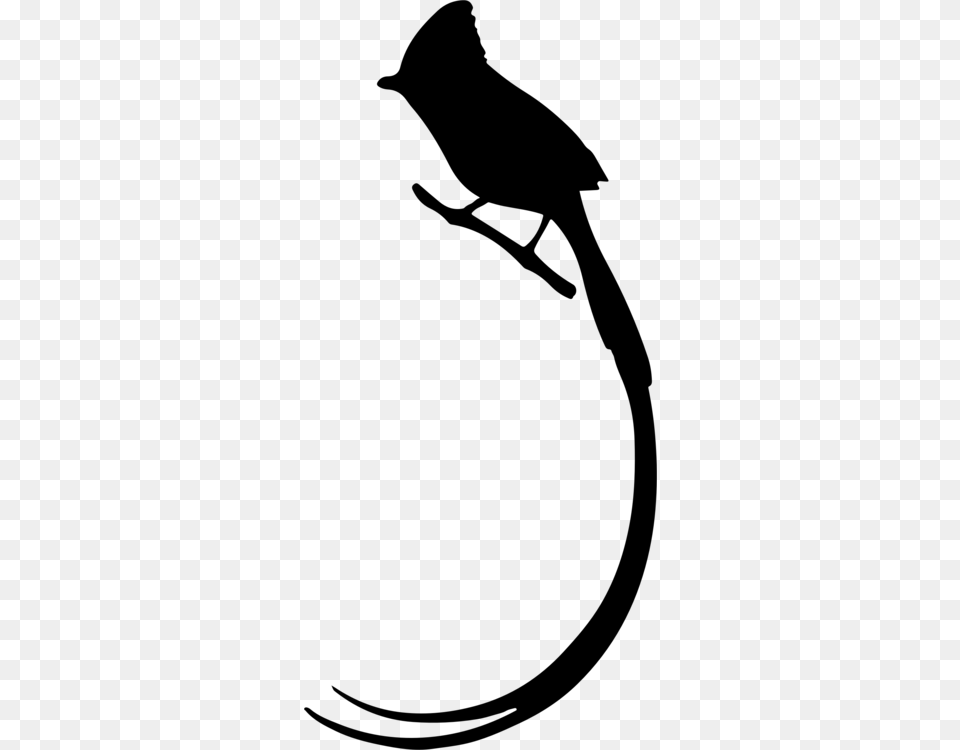 Bird Long Tail Owl Silhouette, Gray Png