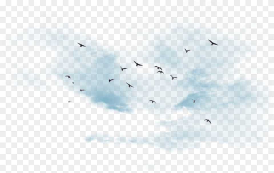 Bird Migration, Animal, Flying, Outdoors, Flock Png Image