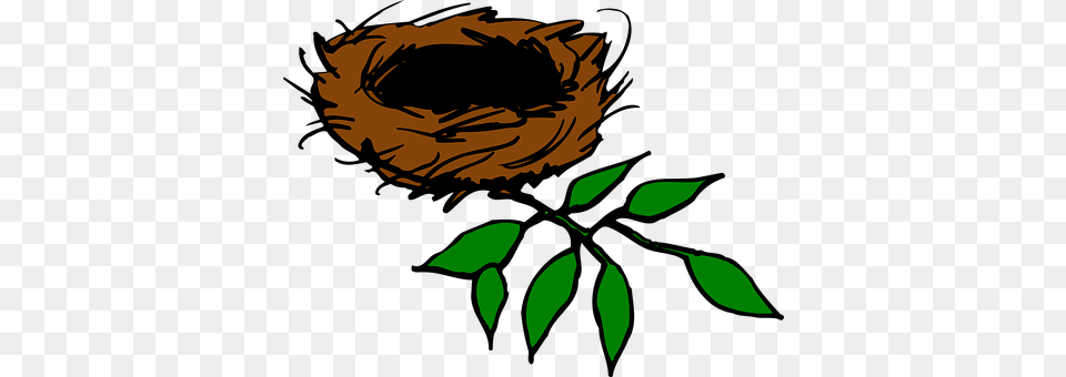 Bird Nest Leaf, Plant, Herbal, Herbs Free Png