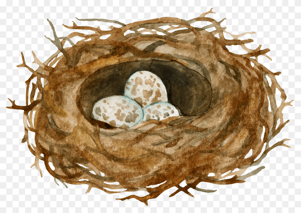 Bird Nest Free Png Download