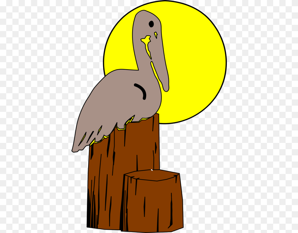 Bird Nest Brown Pelican Drawing Animal, Beak, Tree, Plant, Waterfowl Png