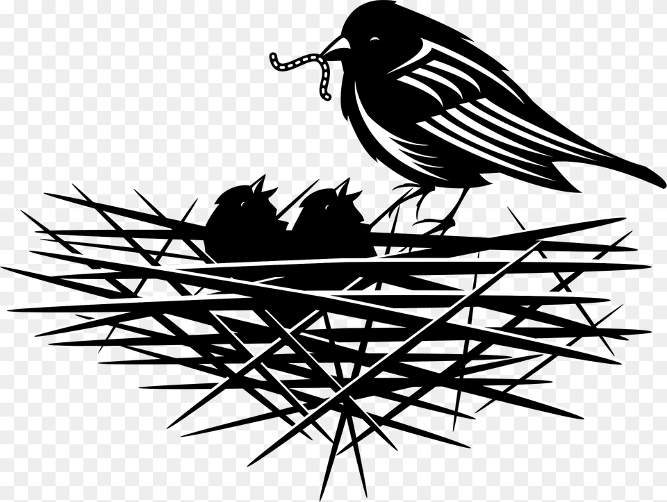 Bird Nest Clipart, Animal, Blackbird Png Image