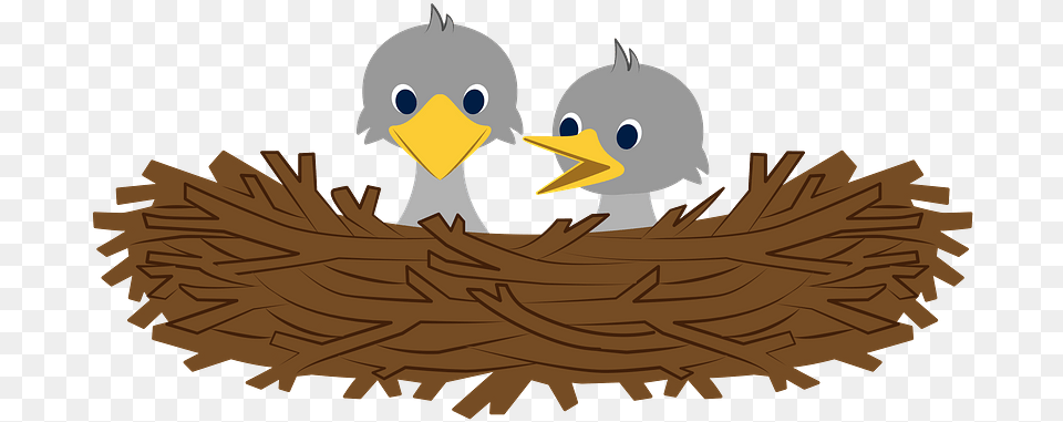 Bird Nest Clipart Birds In Nest Clipart, Animal, Beak, Face, Head Free Png Download