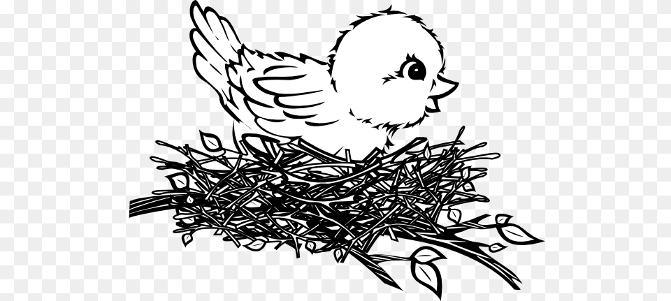 Bird Nest Coloring, Baby, Person, Face, Head Png