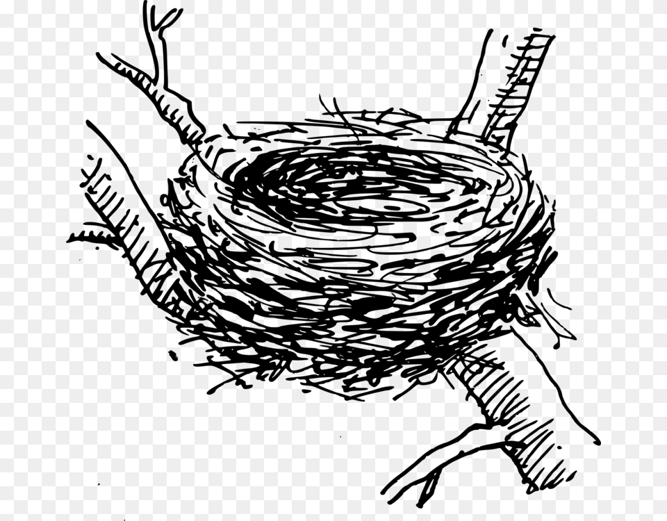 Bird Nest Computer Icons Egg Birds Nest In Tree Drawing, Gray Free Transparent Png