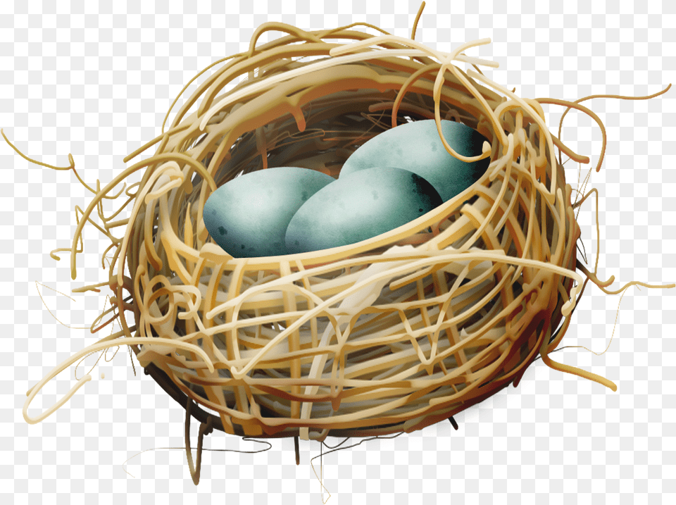 Bird Nest Egg Bird Nest With Eggs Clipart, Food Free Png