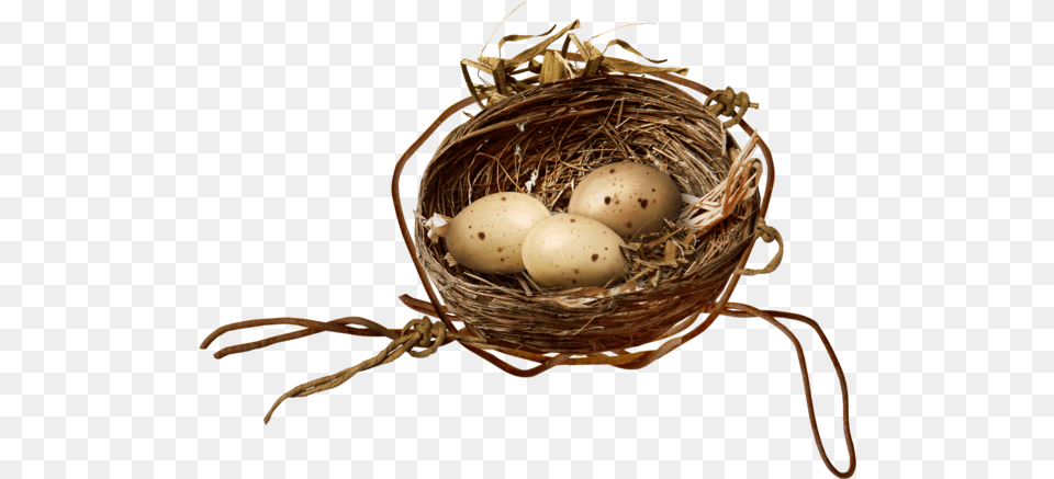 Bird Nest Egg For Easter 1937x1409 Twig, Food Free Png