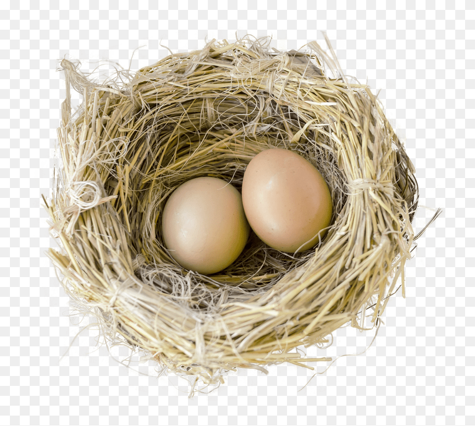 Bird Nest Nest, Egg, Food Png Image