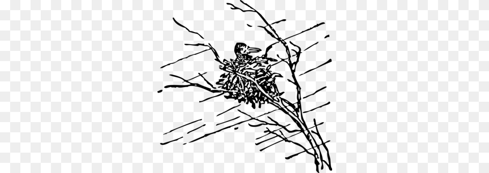 Bird Nest Silhouette Drawing Common Blackbird, Gray Free Png