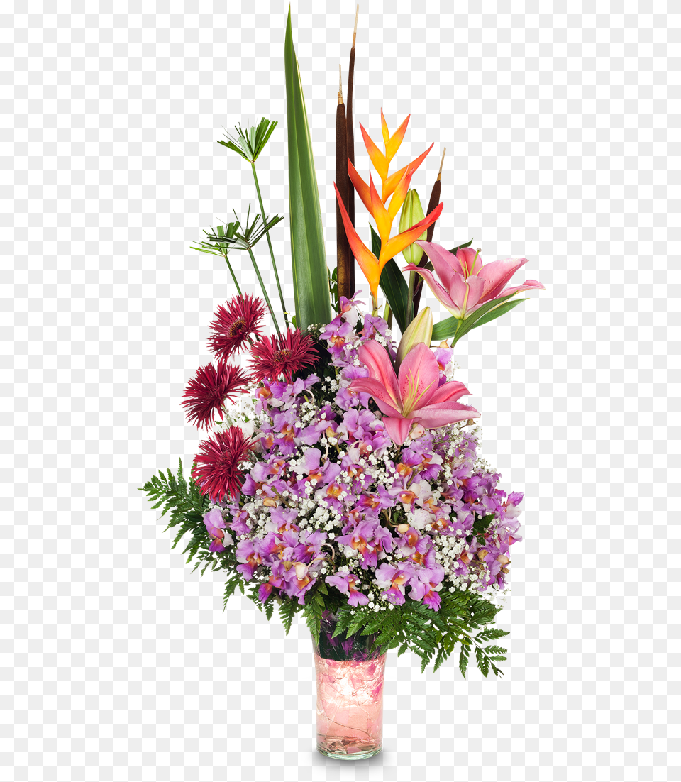 Bird Of Paradise, Art, Floral Design, Flower, Flower Arrangement Free Png Download