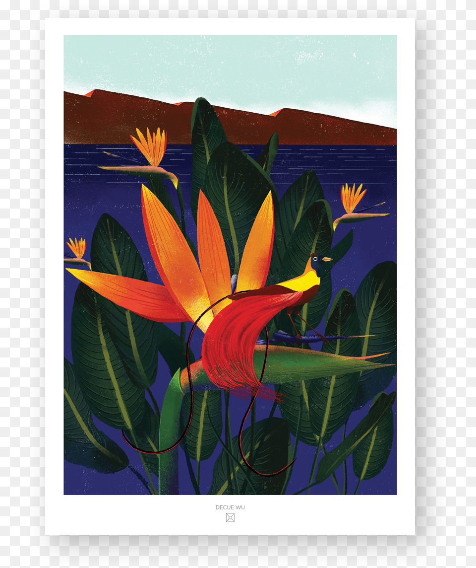 Bird Of Paradise, Plant, Art, Flower, Modern Art Free Png Download