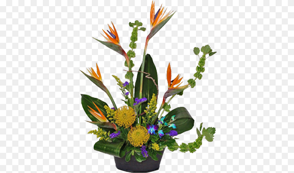 Bird Of Paradise, Art, Floral Design, Flower, Flower Arrangement Free Transparent Png