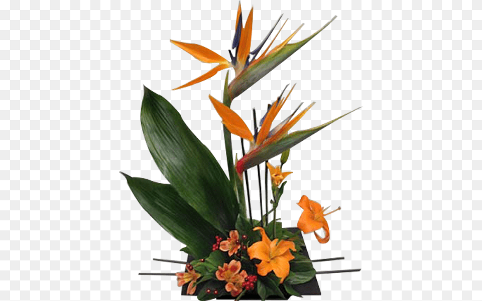 Bird Of Paradise Floral, Plant, Flower, Flower Arrangement, Flower Bouquet Free Png Download