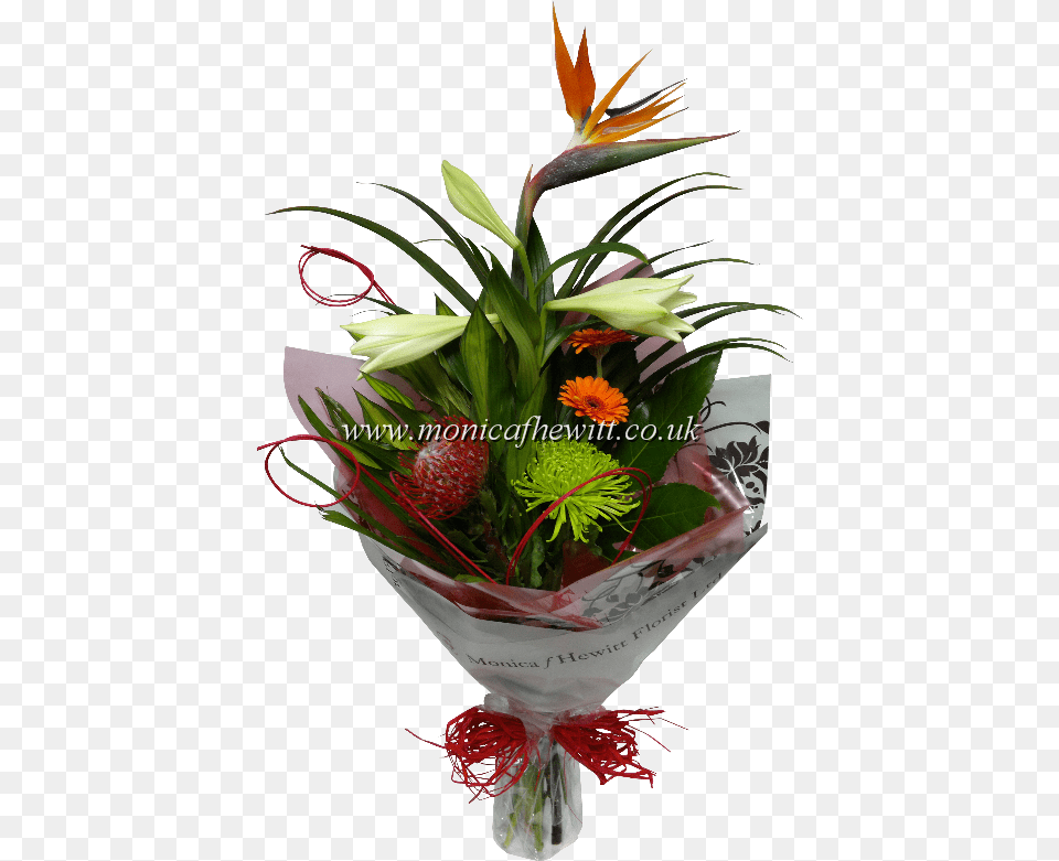 Bird Of Paradise Houseplant, Flower, Flower Arrangement, Flower Bouquet, Plant Png