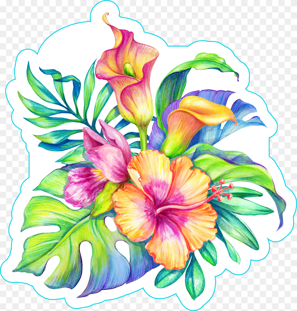 Bird Of Paradise Plant Watercolor Floral Illustration Tropical Flowers, Art, Floral Design, Flower, Graphics Png Image