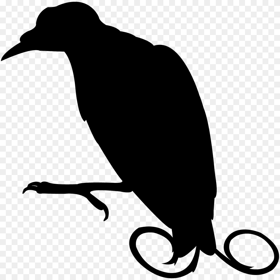 Bird Of Paradise Silhouette, Animal, Beak, Person, Blackbird Free Png
