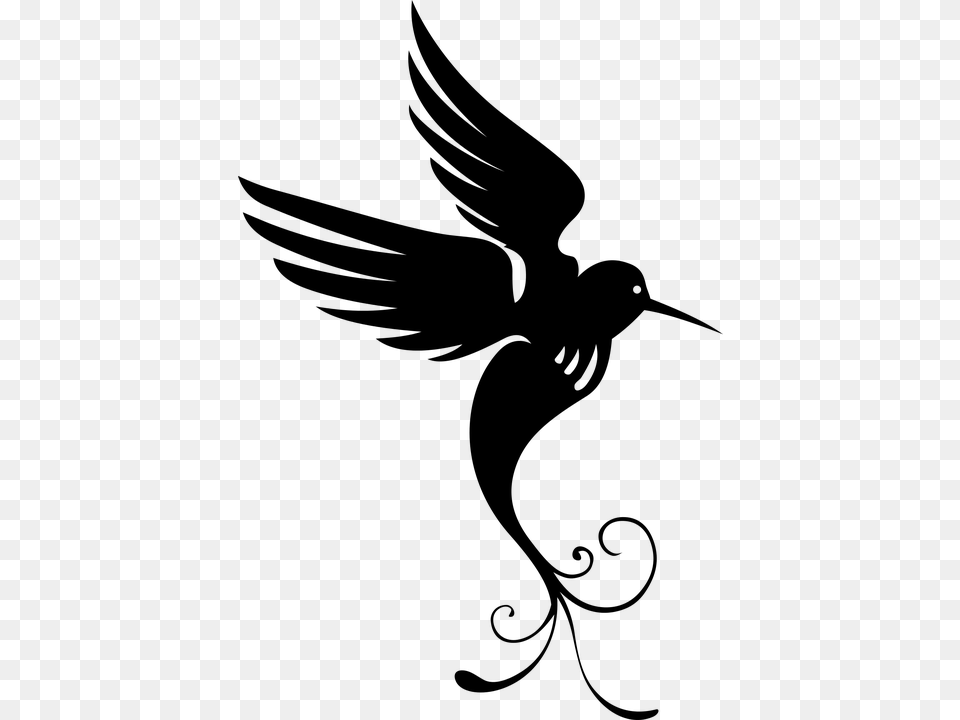 Bird Of Paradise Silhouette, Gray Free Transparent Png