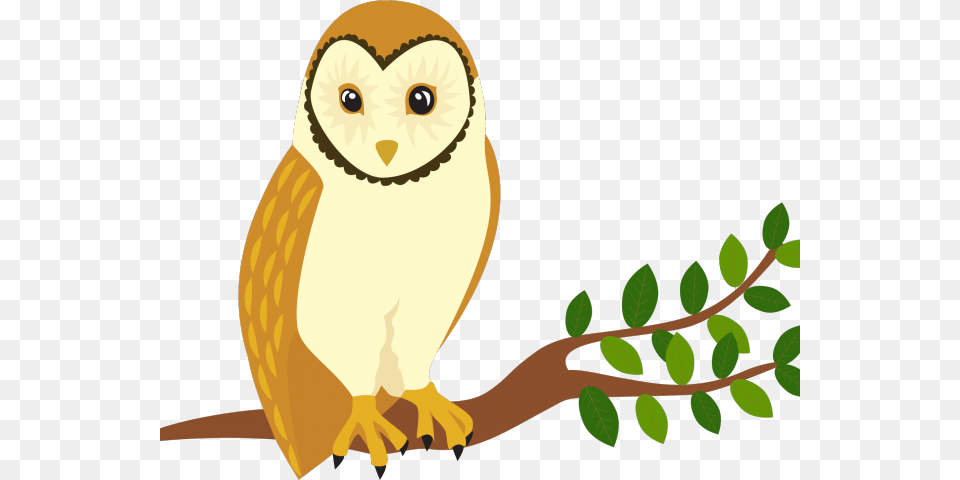 Bird Of Prey Clipart Barn Owl Bird Perch Clip Art, Animal Png Image