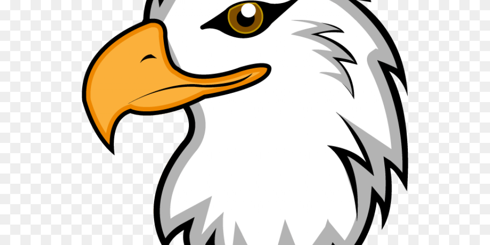 Bird Of Prey Clipart Clip Art, Animal, Beak, Eagle, Bald Eagle Free Transparent Png