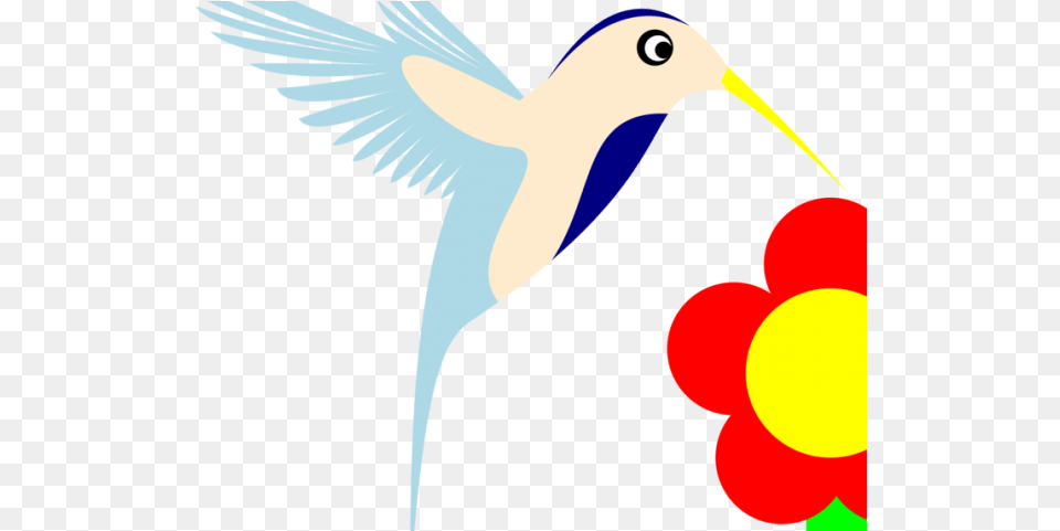 Bird Of Prey Clipart Hummingbird Download Full Size Clip Art, Animal Png Image