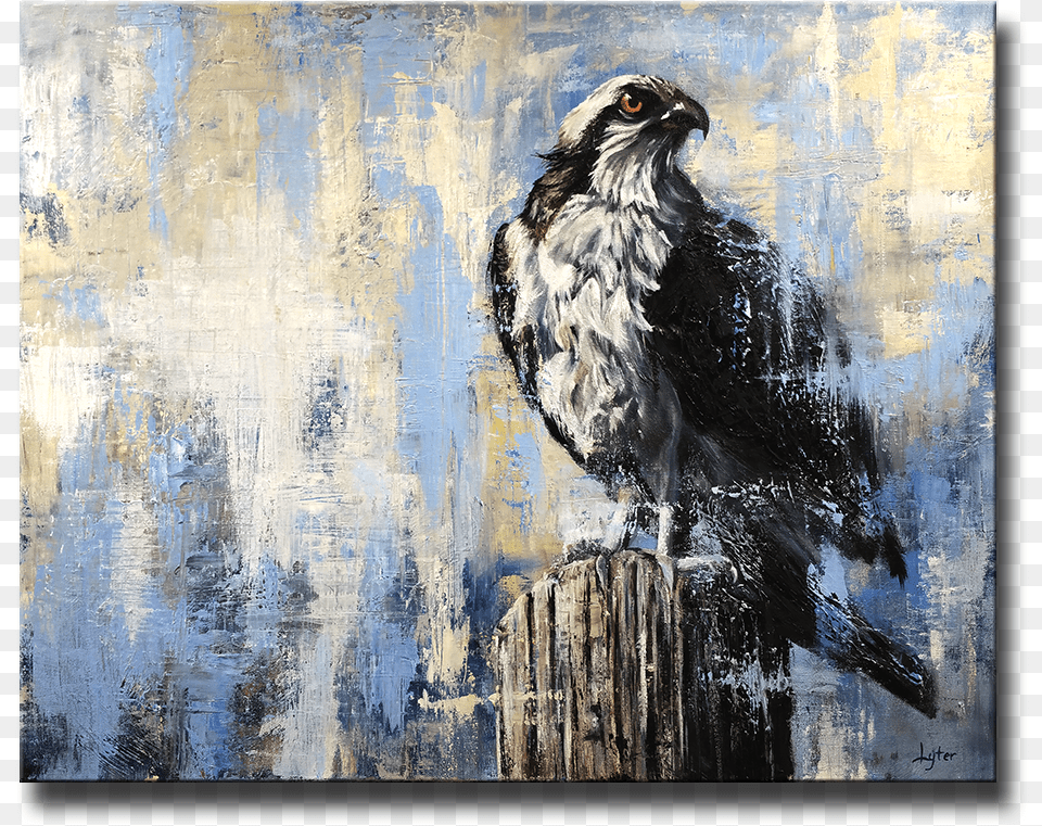 Bird Of Prey Lawyer, Animal, Art, Painting, Beak Free Png Download