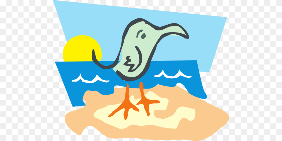 Bird On A Beach Clip Art, Animal, Beak, Water, Swimming Free Png Download