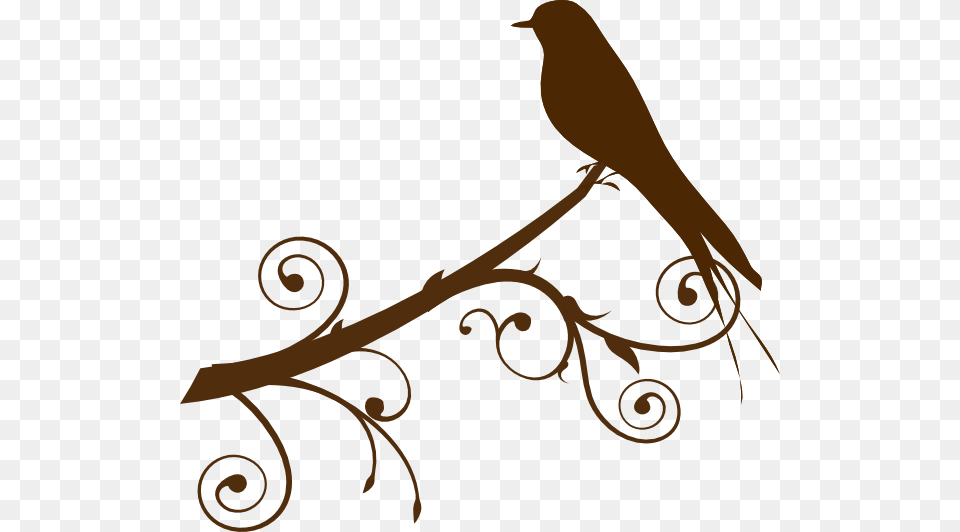 Bird On A Branch Clip Art, Animal, Blackbird, Floral Design, Graphics Free Transparent Png